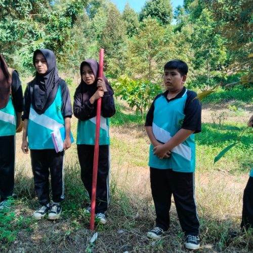 WhatsApp Image 2025-06-24 at 10.22.41 WhatsApp Image 2025-06-24 at 10.22.41