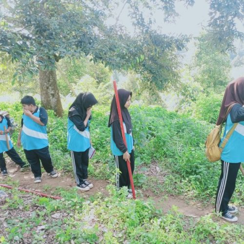 WhatsApp Image 2025-06-24 at 10.22.46 WhatsApp Image 2025-06-24 at 10.22.46